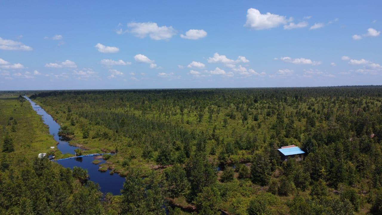 Neues Video zeigt beeindruckenden Fortschritt